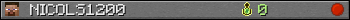 NICOLS1200 userbar 350x20