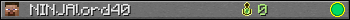 NINJAlord40 userbar 350x20