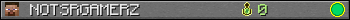 NOTSRGAMERZ userbar 350x20