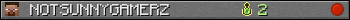 NOTSUNNYGAMERZ userbar 350x20