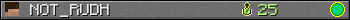 Benutzerleisten 350x20 für NOT_RUDH
