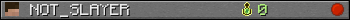 NOT_SLAYER userbar 350x20