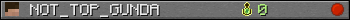 NOT_TOP_GUNDA userbar 350x20