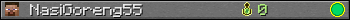 NasiGoreng55 userbar 350x20