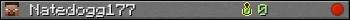 Natedogg177 userbar 350x20
