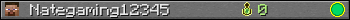 Nategaming12345 userbar 350x20