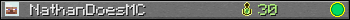 NathanDoesMC userbar 350x20