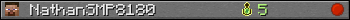 NathanSMP8180 userbar 350x20