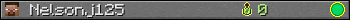 Nelsonj125 userbar 350x20