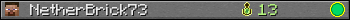 NetherBrick73 userbar 350x20