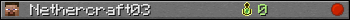 Nethercraft03 userbar 350x20