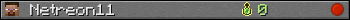 Netreon11 userbar 350x20