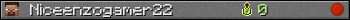 Niceenzogamer22 userbar 350x20