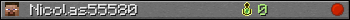 Nicolas55580 userbar 350x20