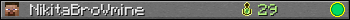 NikitaBroVmine userbar 350x20