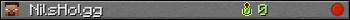 NilsHolgg userbar 350x20