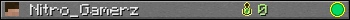 Nitro_Gamerz userbar 350x20