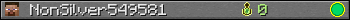 NonSilver549581 userbar 350x20