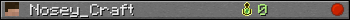Nosey_Craft userbar 350x20