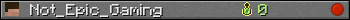 Not_Epic_Gaming userbar 350x20