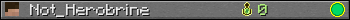 Not_Herobrine userbar 350x20