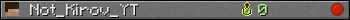 Not_Kirov_YT userbar 350x20