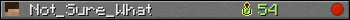 Not_Sure_What userbar 350x20