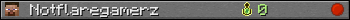 Notflaregamerz userbar 350x20