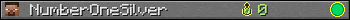 NumberOneSilver userbar 350x20