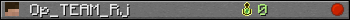 Op_TEAM_Rj userbar 350x20