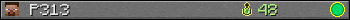 P313 userbar 350x20