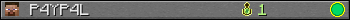 P4YP4L userbar 350x20