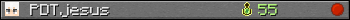 PDTjesus userbar 350x20