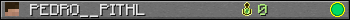 PEDRO__PITHL userbar 350x20