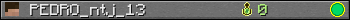 PEDRO_ntj_13 userbar 350x20