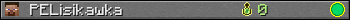 PELisikawka userbar 350x20