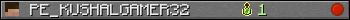 Юзербар 350x20 для PE_KUSHALGAMER32