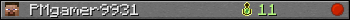 PMgamer9931 userbar 350x20