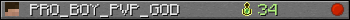 PRO_BOY_PVP_GOD userbar 350x20