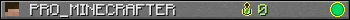 PRO_MINECRAFTER userbar 350x20