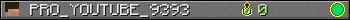 PRO_YOUTUBE_9393 userbar 350x20