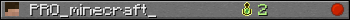 PRO_minecraft_ userbar 350x20