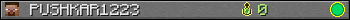 PUSHKAR1223 userbar 350x20