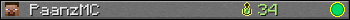 PaanzMC userbar 350x20