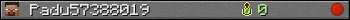 Padu57388019 userbar 350x20