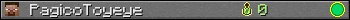 PagicoToyeye userbar 350x20
