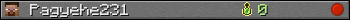 Pagyehe231 userbar 350x20