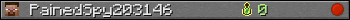 PainedSpy203146 userbar 350x20