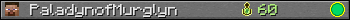 PaladynofMurglyn userbar 350x20