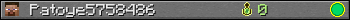 Patoye5758486 userbar 350x20